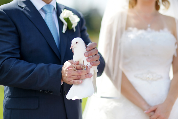 Brautpaar hält weiße Taube fest